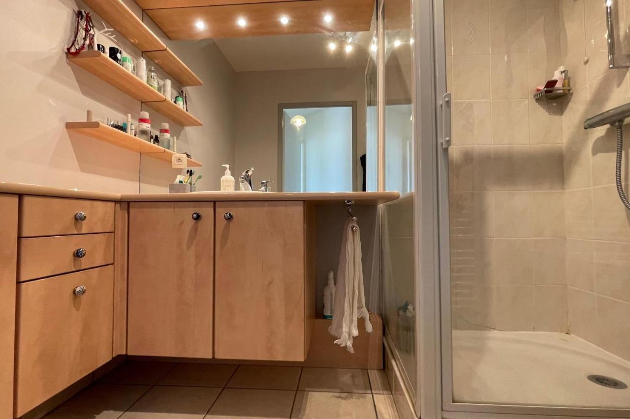 Les Capucines - Appartement Moderne Proche Centre D'アヌシー エクステリア 写真